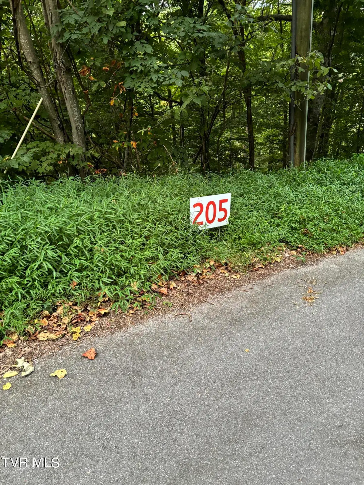 205 Ox Bow Ave, Unicoi, TN 37692 - Image #1