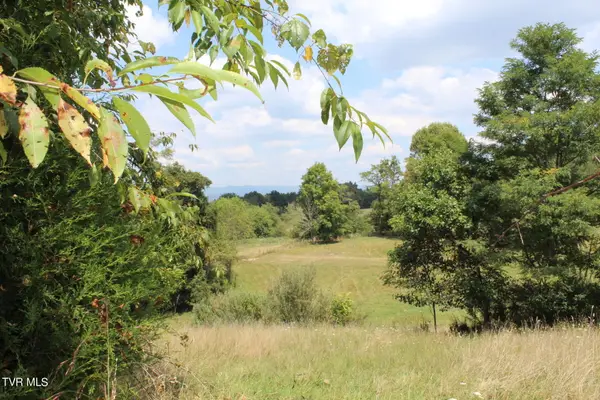 Tbd Chestnut Ridge Road, Chilhowie, VA 24319