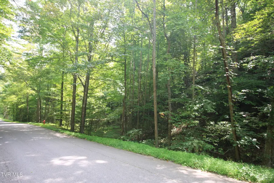 Tbd Murray Rd., Marion, VA 24354 - Image #2