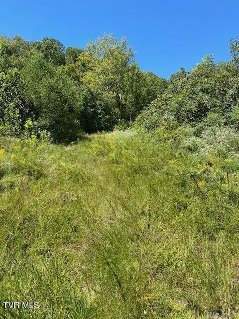 Tbd Hurricane Road, Jonesville, VA 24263 - Image #2