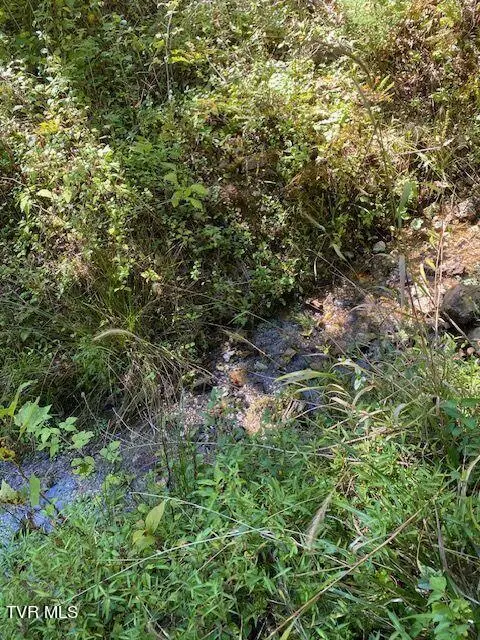 Tbd Hurricane Road, Jonesville, VA 24263 - Image #3