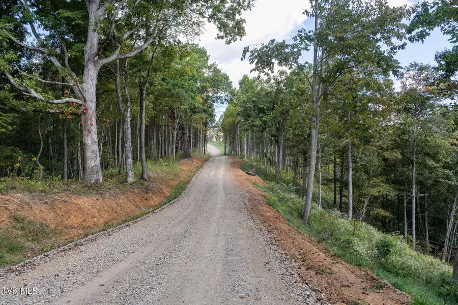 54 Summerfield Drive, Butler, TN 37640 - #2