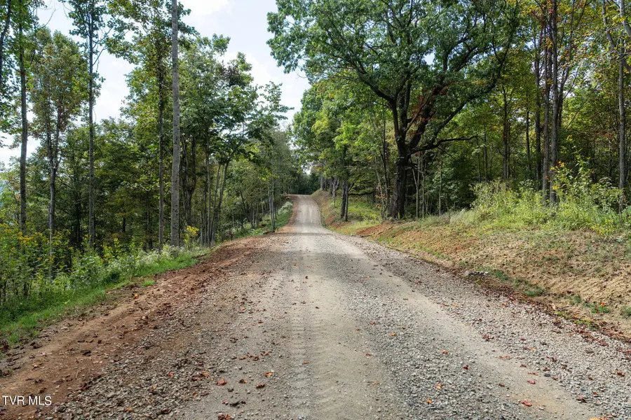 54 Summerfield Drive, Butler, TN 37640 - #3