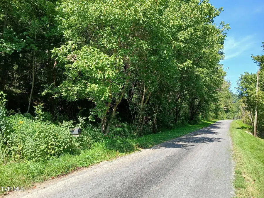 17532 Phillips Road, Bristol, VA 24202 - Image #3