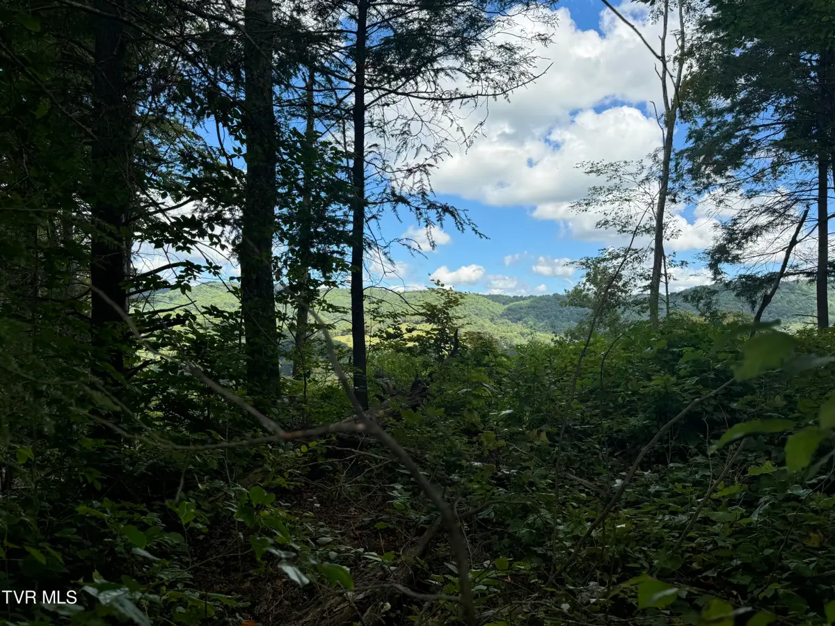 221 Shell Creek Road, Roan Mountain, TN 37687 - Image #1