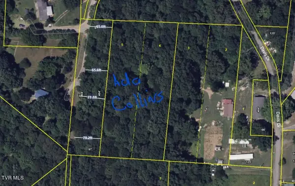 0000 Davis Rd, Rogersville, TN 37857