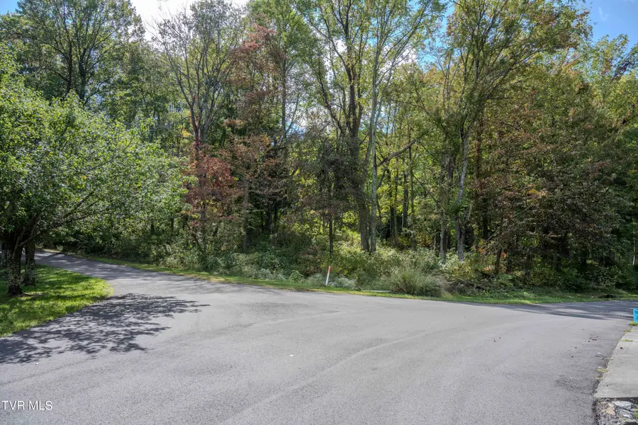 Lot 78-77 Forest Lodge Drive, Lebanon, VA 24266 - Image #2