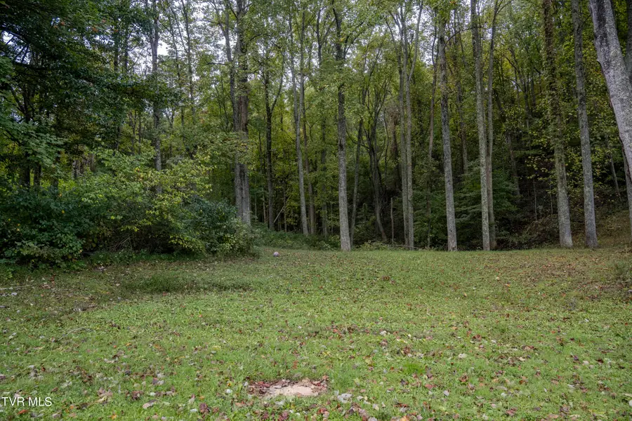 Lot 78-77 Forest Lodge Drive, Lebanon, VA 24266 - Image #3