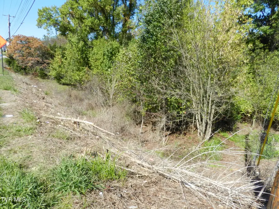 4217 Fort Henry Drive, Kingsport, TN 37663 - Image #2