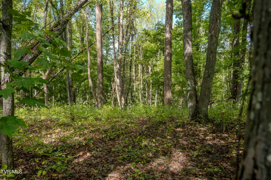 Lot 68 Wood Land Circle, Lebanon, VA 24266 - Image #2