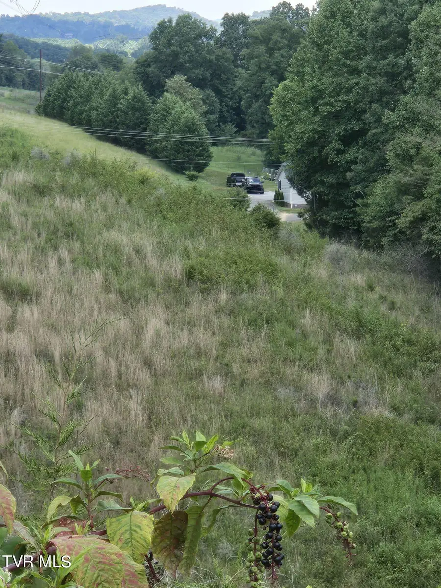 150 Barker Road, Gray, TN 37615 - #2