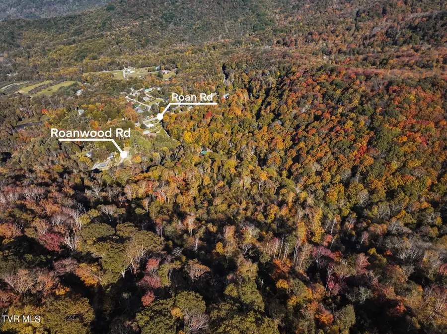 Tbd Calusa Spur, Roan Mountain, TN 37687 - #2