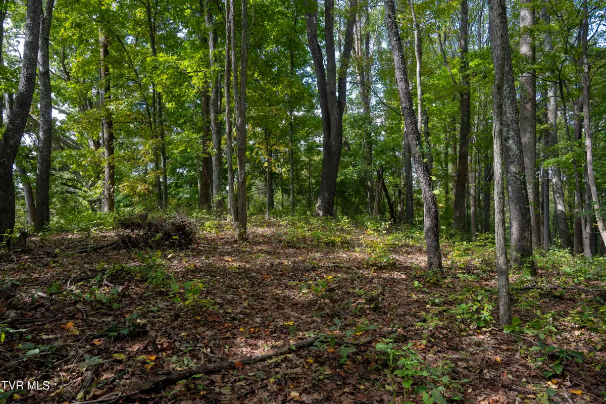 Lot 69 Wood Land Circle, Lebanon, VA 24266 - Image #1