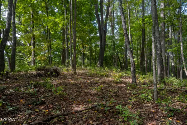 Lot 69 Wood Land Circle, Lebanon, VA 24266