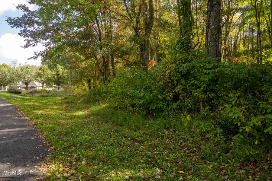 Lot 69 Wood Land Circle, Lebanon, VA 24266 - Image #3