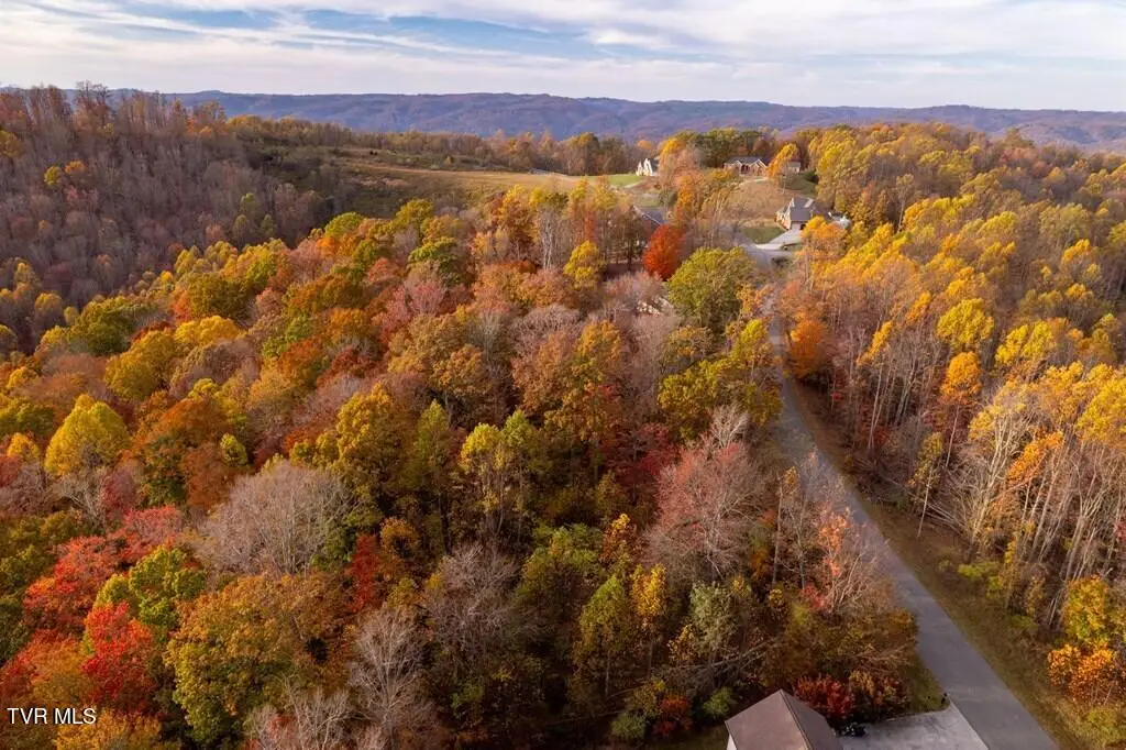 Tbd Airport Road Lot 5, Cedar Bluff, VA 24609 - Image #1