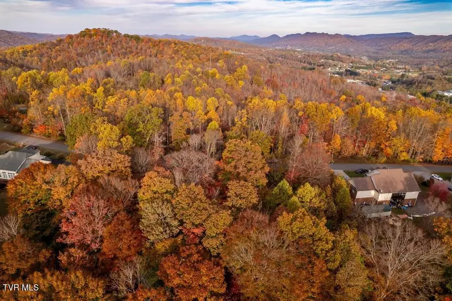 Tbd Airport Road Lot 5, Cedar Bluff, VA 24609 - Image #3