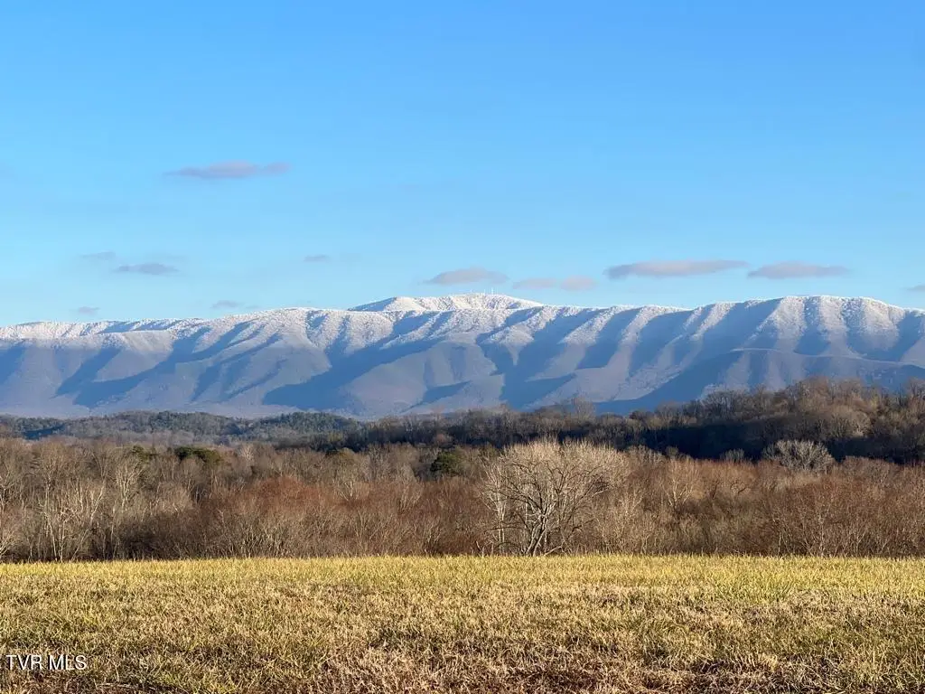Lot 92 River View Drive, Greeneville, TN 37743 - #1