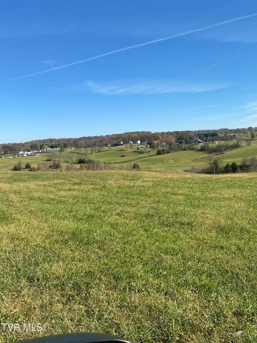 689 Painter Road, Fall Branch, TN 37656 - Image #2