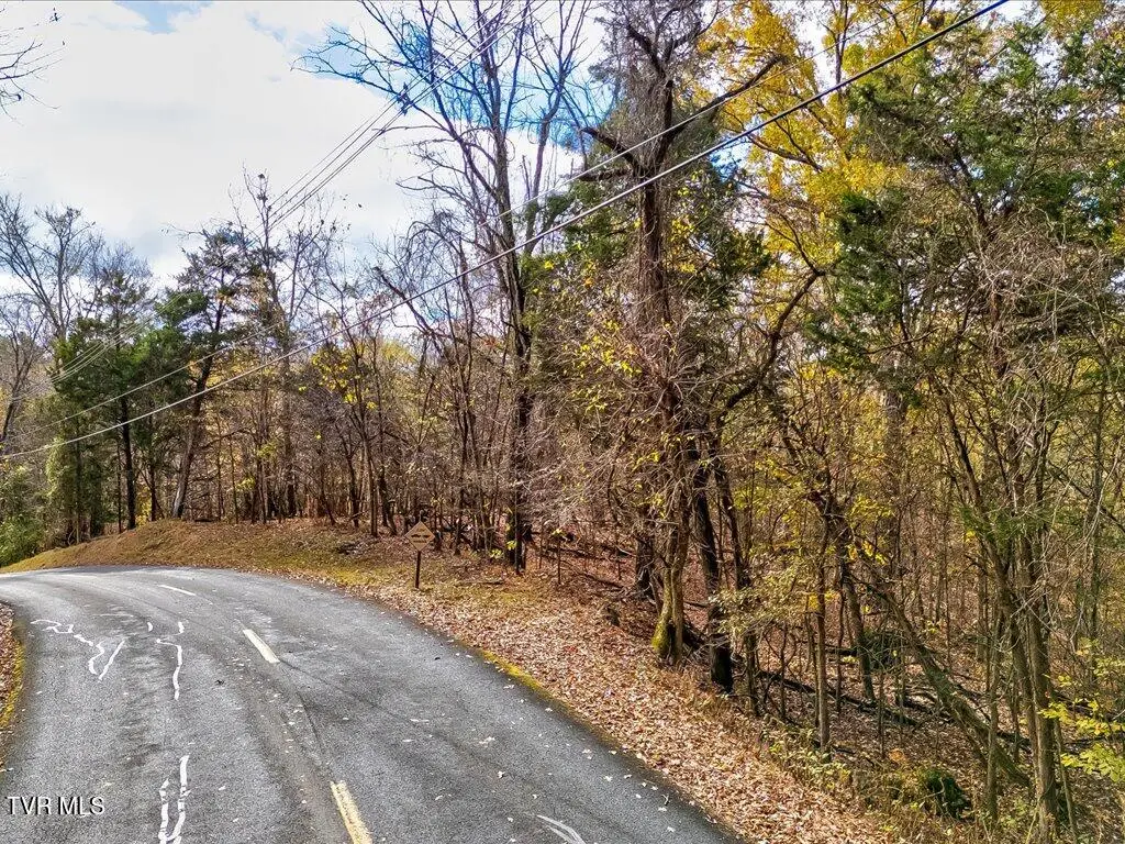 365 Chelaque Way, Mooresburg, TN 37811 - Image #1