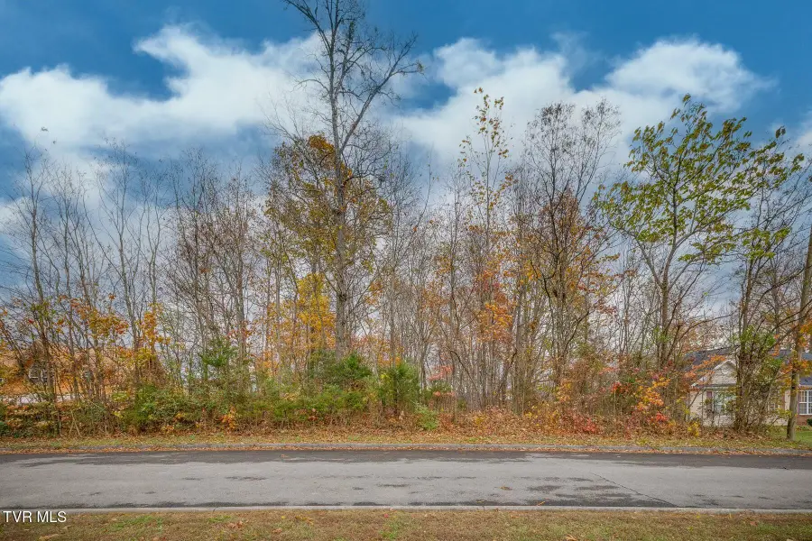 Tbd Woodview (lot 18) Court, Kingsport, TN 37664 - Image #2