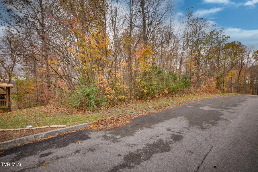 Tbd Woodview (lot 18) Court, Kingsport, TN 37664 - Image #3