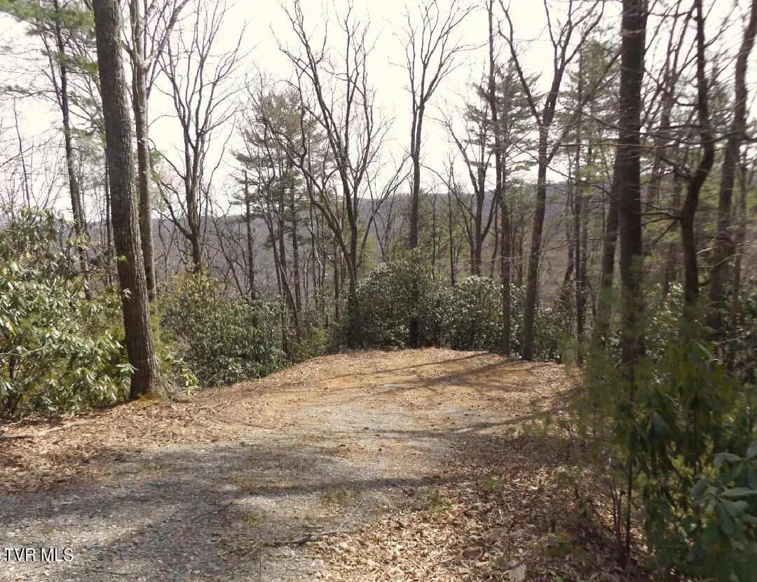 704 Heartwood Lot 55 Lane, Butler, TN 37640 - Image #1
