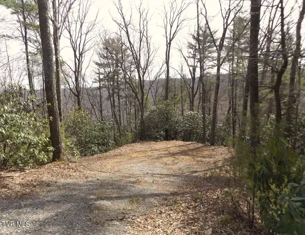704 Heartwood Lot 55 Lane, Butler, TN 37640