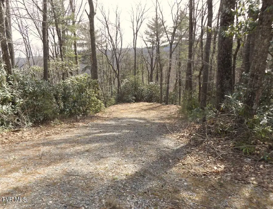 704 Heartwood Lot 55 Lane, Butler, TN 37640 - Image #2