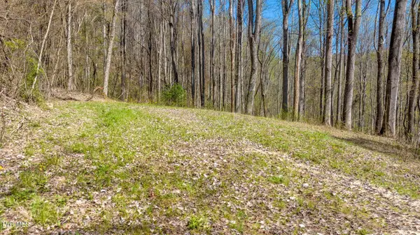 308 Honeymoon Lot 67 Hollow #67, Butler, TN 37640