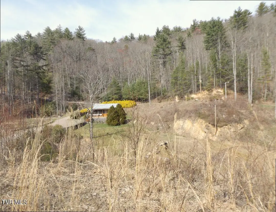 303 Honeymoon Lot 59 Hollow, Butler, TN 37640 - Image #1