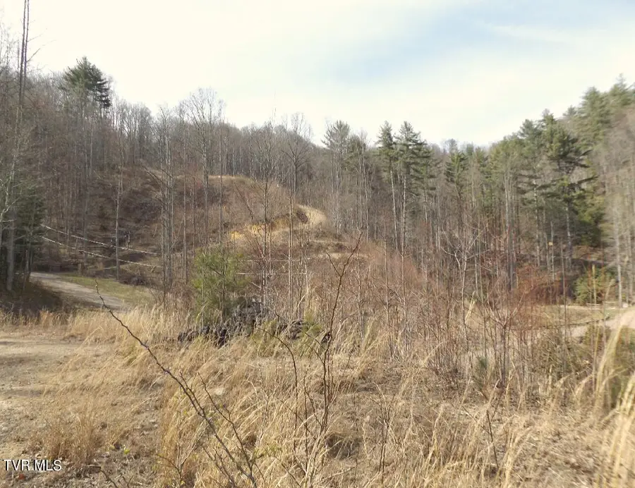 303 Honeymoon Lot 59 Hollow, Butler, TN 37640 - Image #3