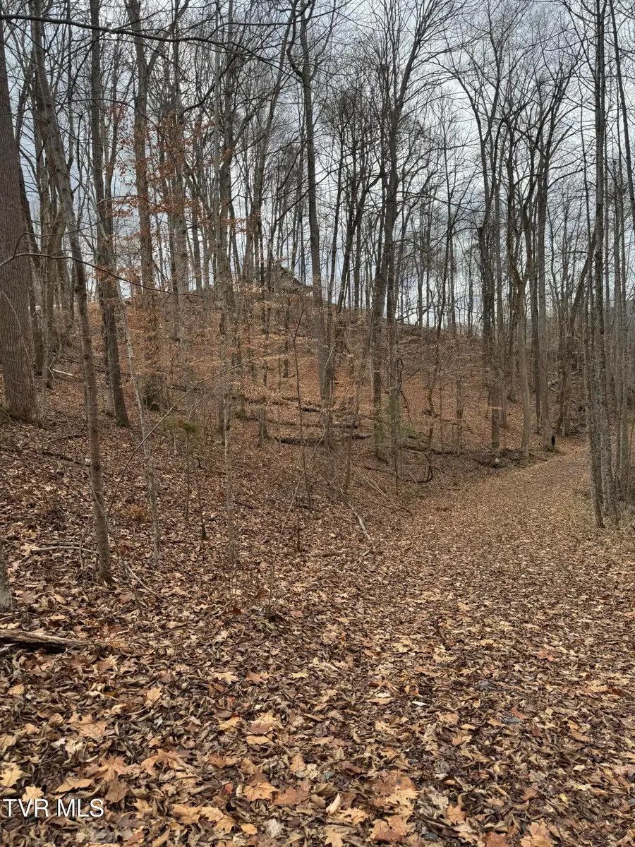 70 Golf Course Road, Unicoi, TN 37692 - Image #2