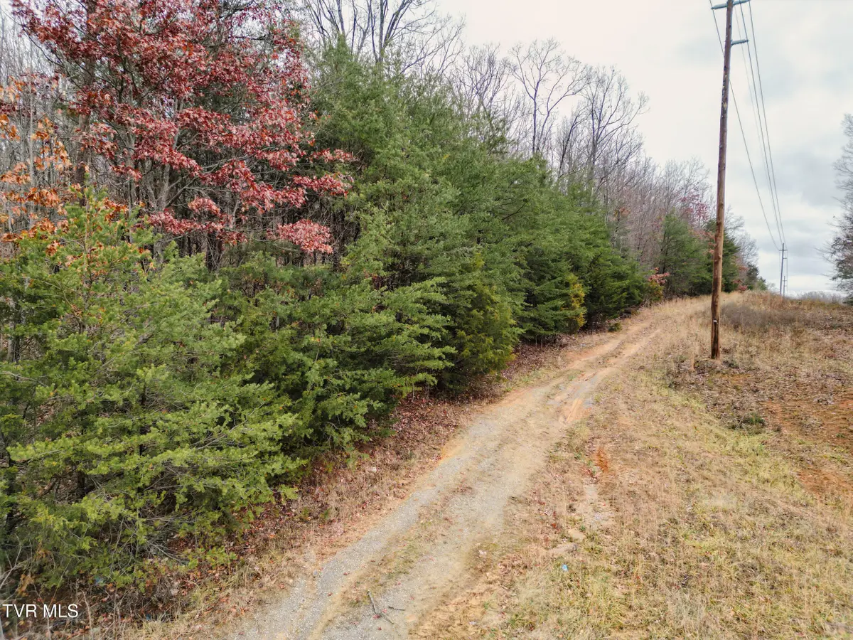 Lot 2 Old Knoxville Highway, Greeneville, TN 37743 - #1