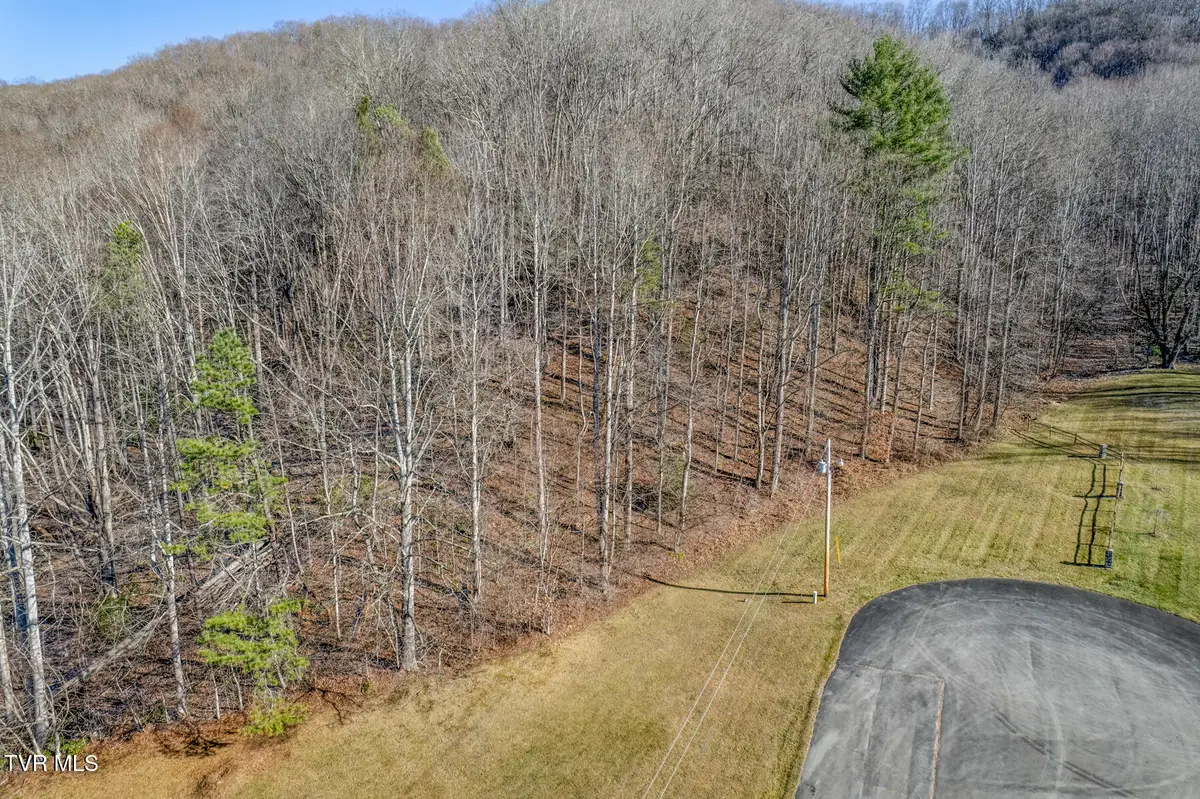 117 Buckner Drive, Roan Mountain, TN 37687 - Image #1