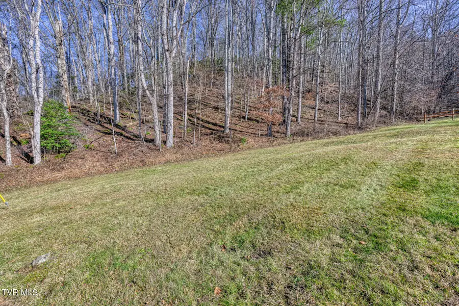 117 Buckner Drive, Roan Mountain, TN 37687 - Image #2
