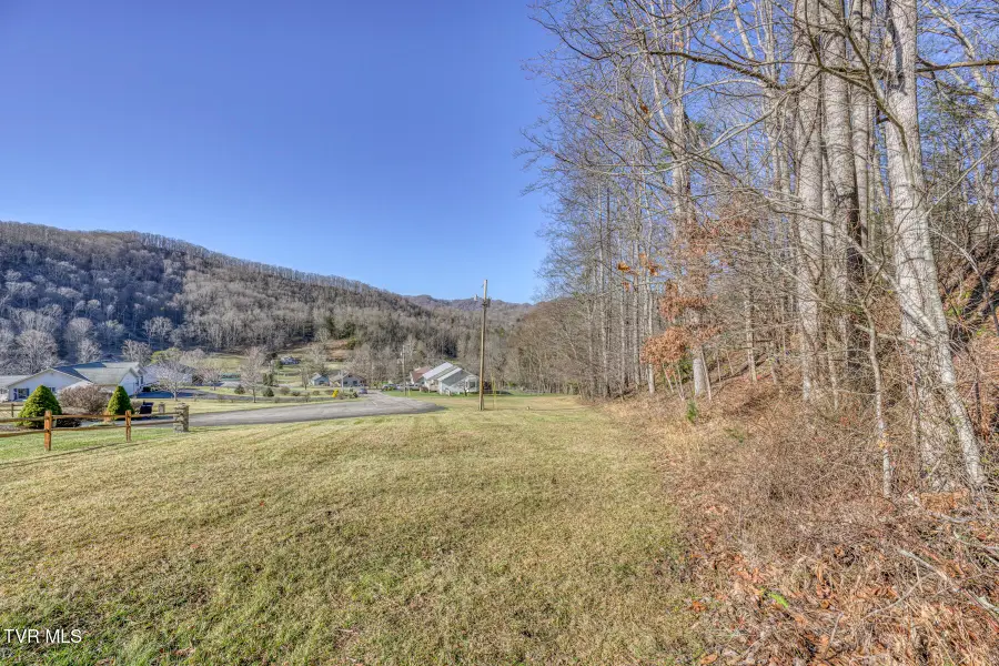 117 Buckner Drive, Roan Mountain, TN 37687 - Image #3