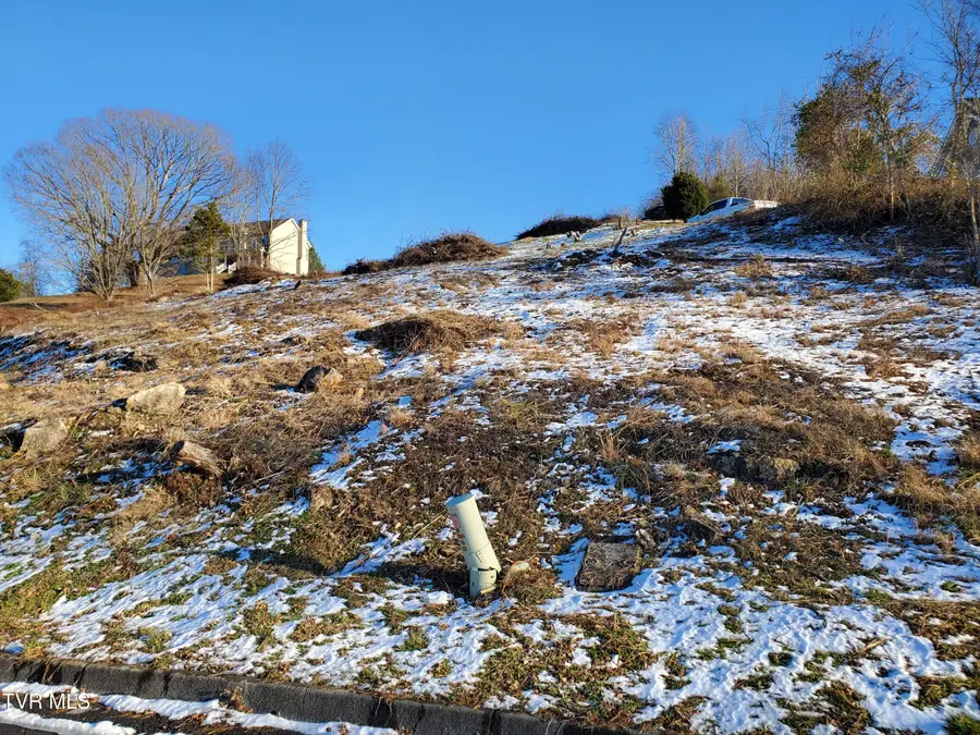 209 Briarfield Drive, Kingsport, TN 37660 - Image #2