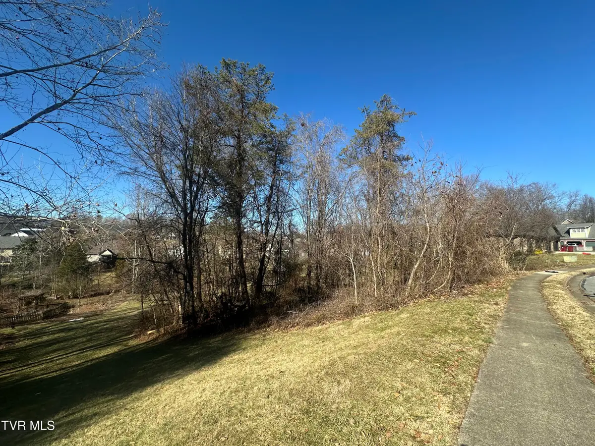 123 Vicksburg Road, Johnson City, TN 37604 - Image #1