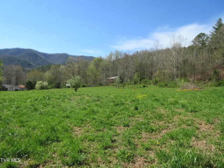 9222 Roan Creek Road Road, Butler, TN 37640 - Image #3