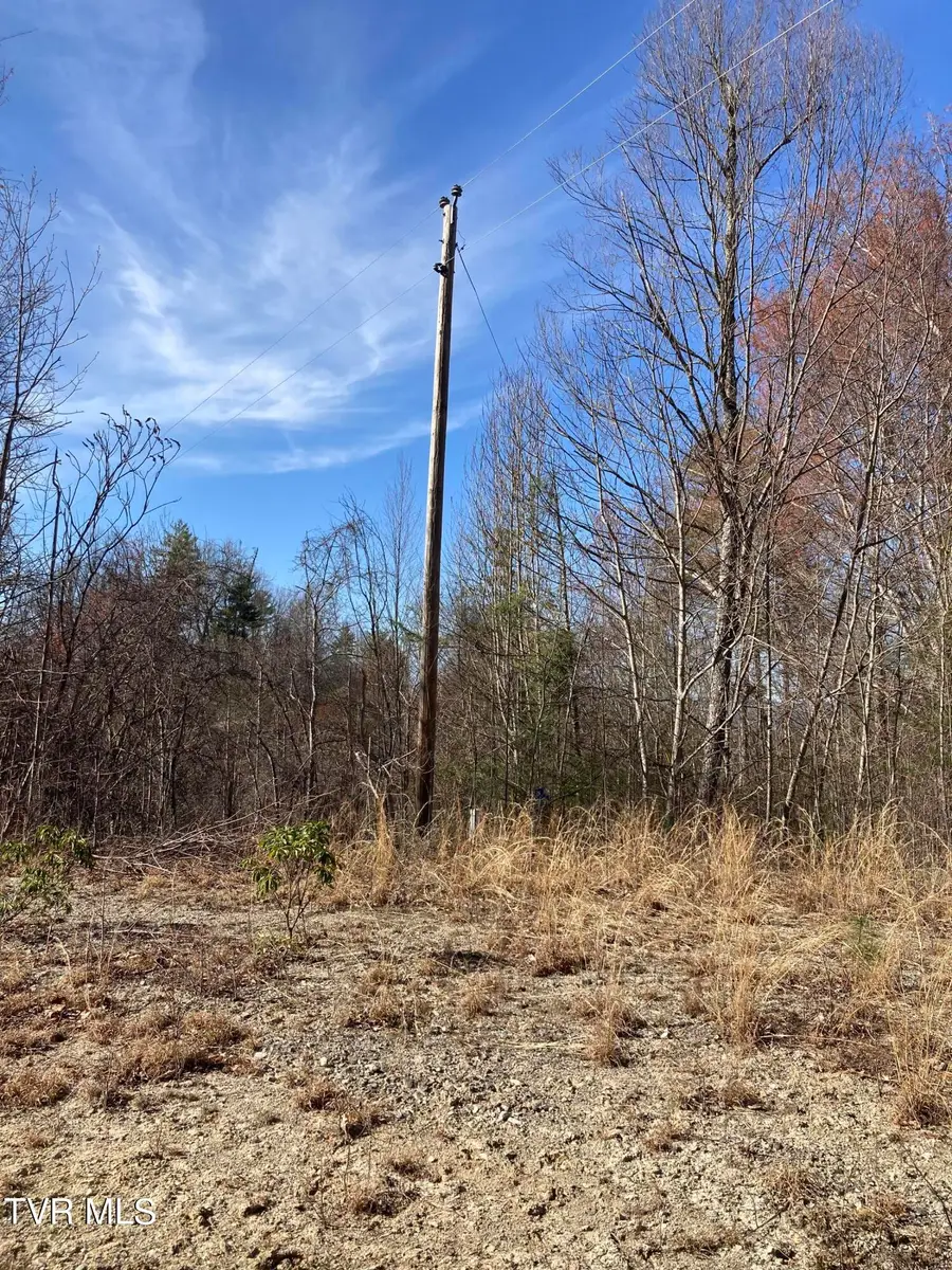 1008 Locust Lane, Butler, TN 37640 - Image #3