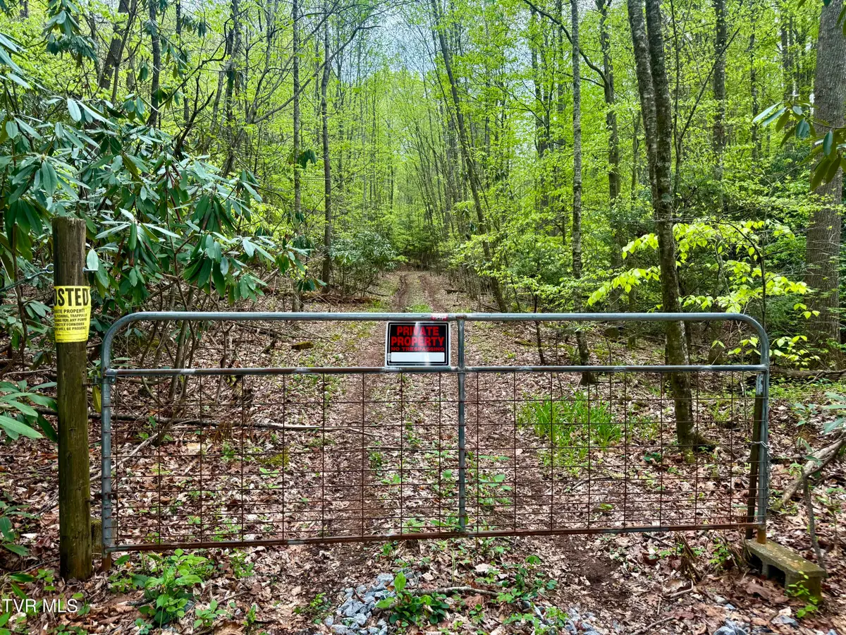 57/Ac Tbd Powder Branch Road, Elizabethton, TN 37643 - #1