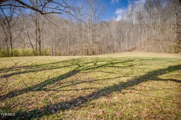 1795 Bear Hollow Road, Greeneville, TN 37745
