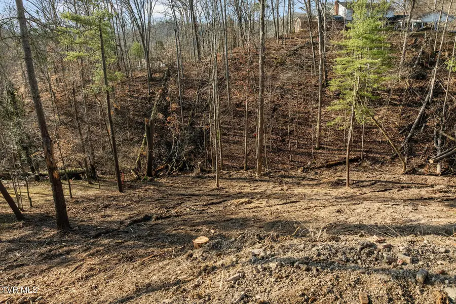 146 Cloudland Drive, Bristol, TN 37620 - Image #2