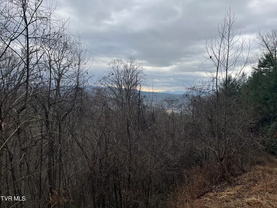 Tbd H Proffitt Lane, Butler, TN 37640 - #3