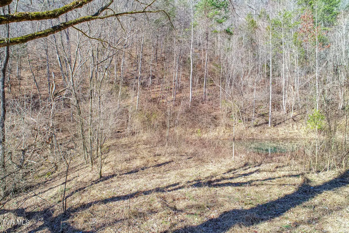 582 Jimmie Brooks Road, Sneedville, TN 37869 - Image #1