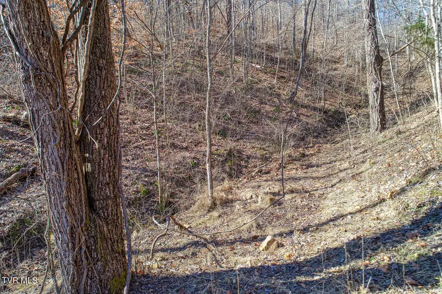 582 Jimmie Brooks Road, Sneedville, TN 37869 - Image #3