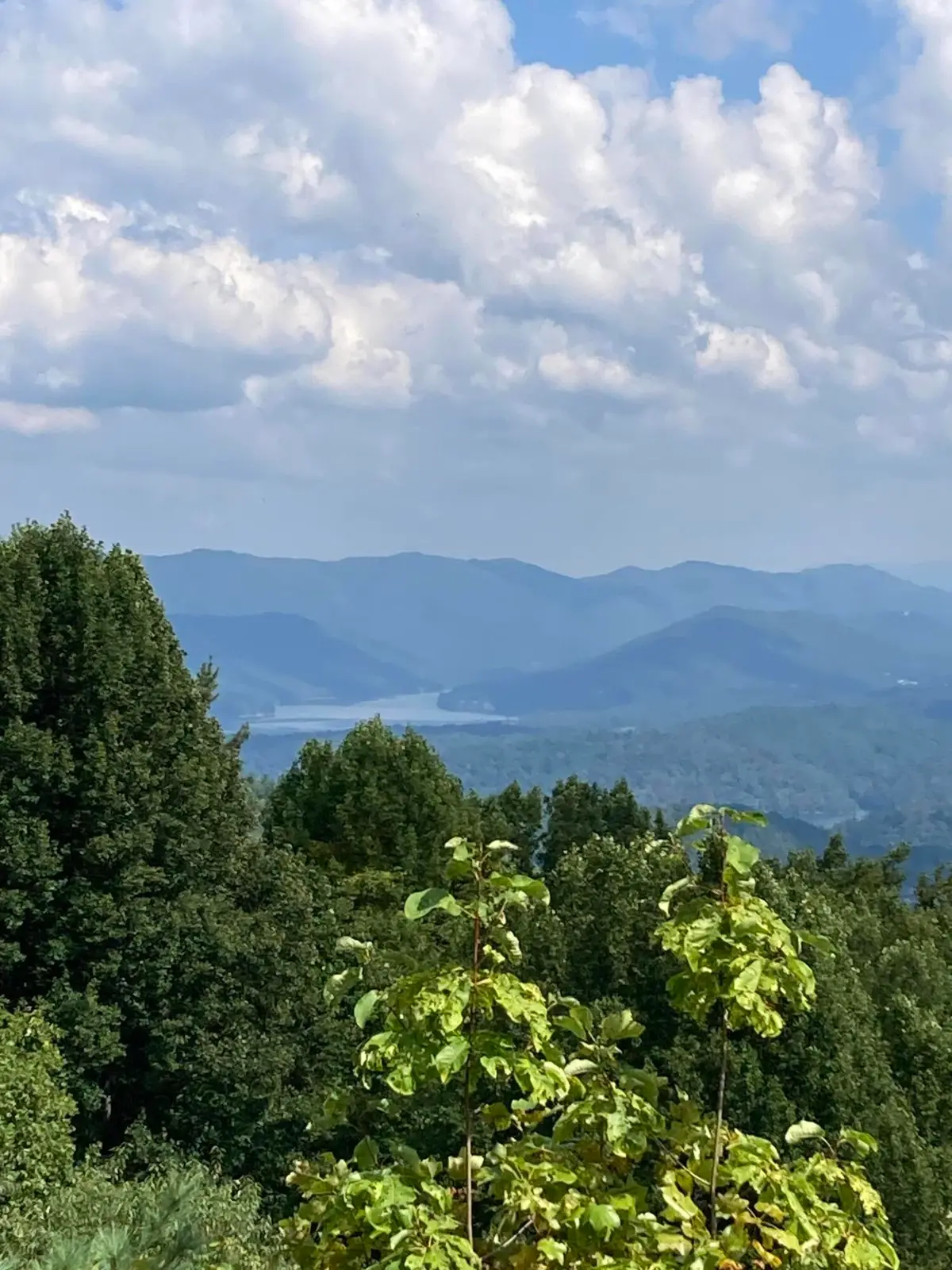 1209 Mays Ridge Road, Butler, TN 37640 - Image #1