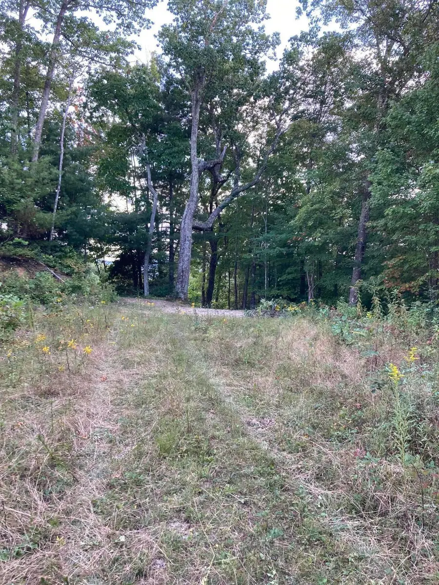 1209 Mays Ridge Road, Butler, TN 37640 - Image #3