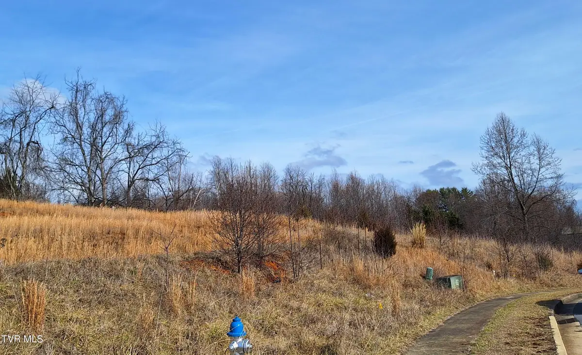 Tbd Mizpah Hills Drive, Johnson City, TN 37604 - Image #1